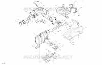 Engine - Exhaust