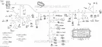 Main Harness Europe