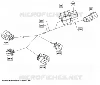 Electrical Harness, Front Section Europe