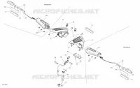 Electrical - Taillights