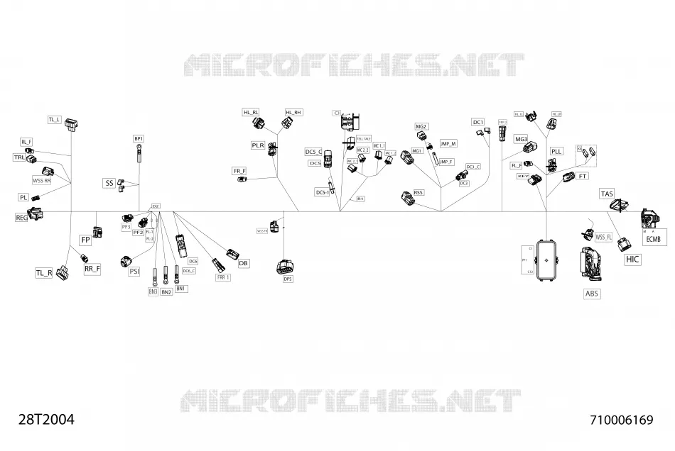 Main Harness - 710006169 DPS XT