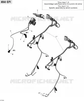 Engine Harness And Electronic Module