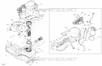Engine - Fuel - EVAP System