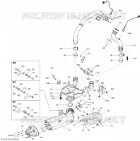 Exhaust System