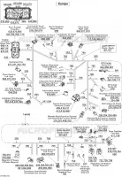 Main Harness Europe