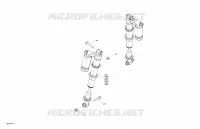 Suspension - Rear Shocks - XTP