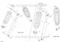 Shocks - STD