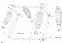 Shocks - STD
