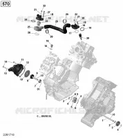 Engine Cooling - 570 EFI
