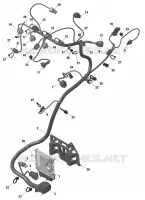01- ROTAX - Engine Harness And Electronic Module