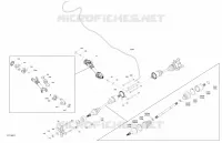 Drive - Rear - Common Parts - MAX