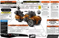 07- Body - Decals