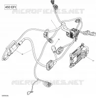 Engine Harness and Electronic Module - 450 EFI