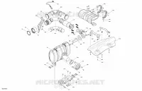 Engine - Exhaust