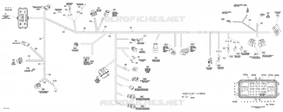 Main Harness Europe