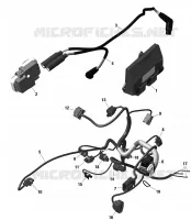 01- ROTAX - Engine Harness And Electronic Module