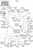 Main Harness Europe