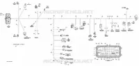 Main Harness STD