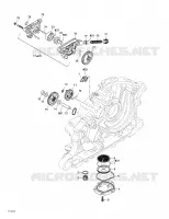 Engine Lubrication