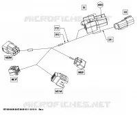 Electrical Harness, Front Section Europe