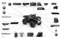 Body - Decals - LTD