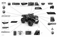 Body - Decals - XTP