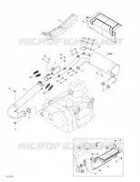 Exhaust System
