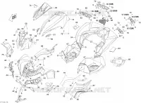 Body And Accessories 2