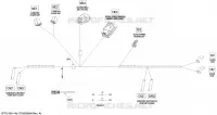 Electrical Harness Europe