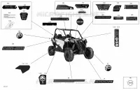 Decals - 1000R - Package DPS
