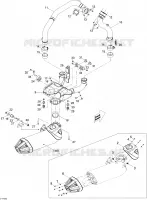 Exhaust System