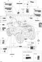 Decals STD