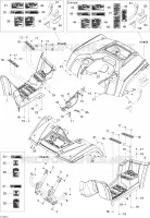 Body And Accessories 1