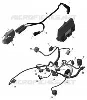 Rotax - Engine Harness And Electronic Module - With GRIP Differential