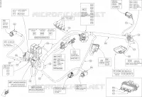 Main Harness Front