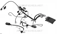 Engine Harness