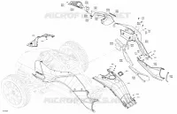Body - System