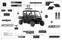 Decals - HD10 - Lone Star Edition