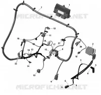 Rotax - Engine Harness And Electronic Module