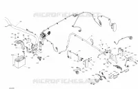 Electrical System - Rear