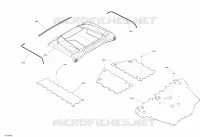 Body - Skid Plate - XT