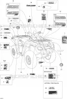 Decals STD