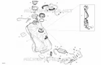 Engine - Fuel
