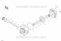 Rear Drive - Differential