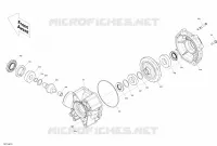 Rear Drive - Differential