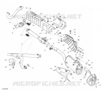 Exhaust