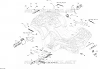 Decals - All Models