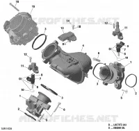 Air Intake Manifold And Throttle Body - HD10