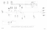 Electrical - Harness - 710006158