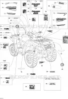 Decals STD